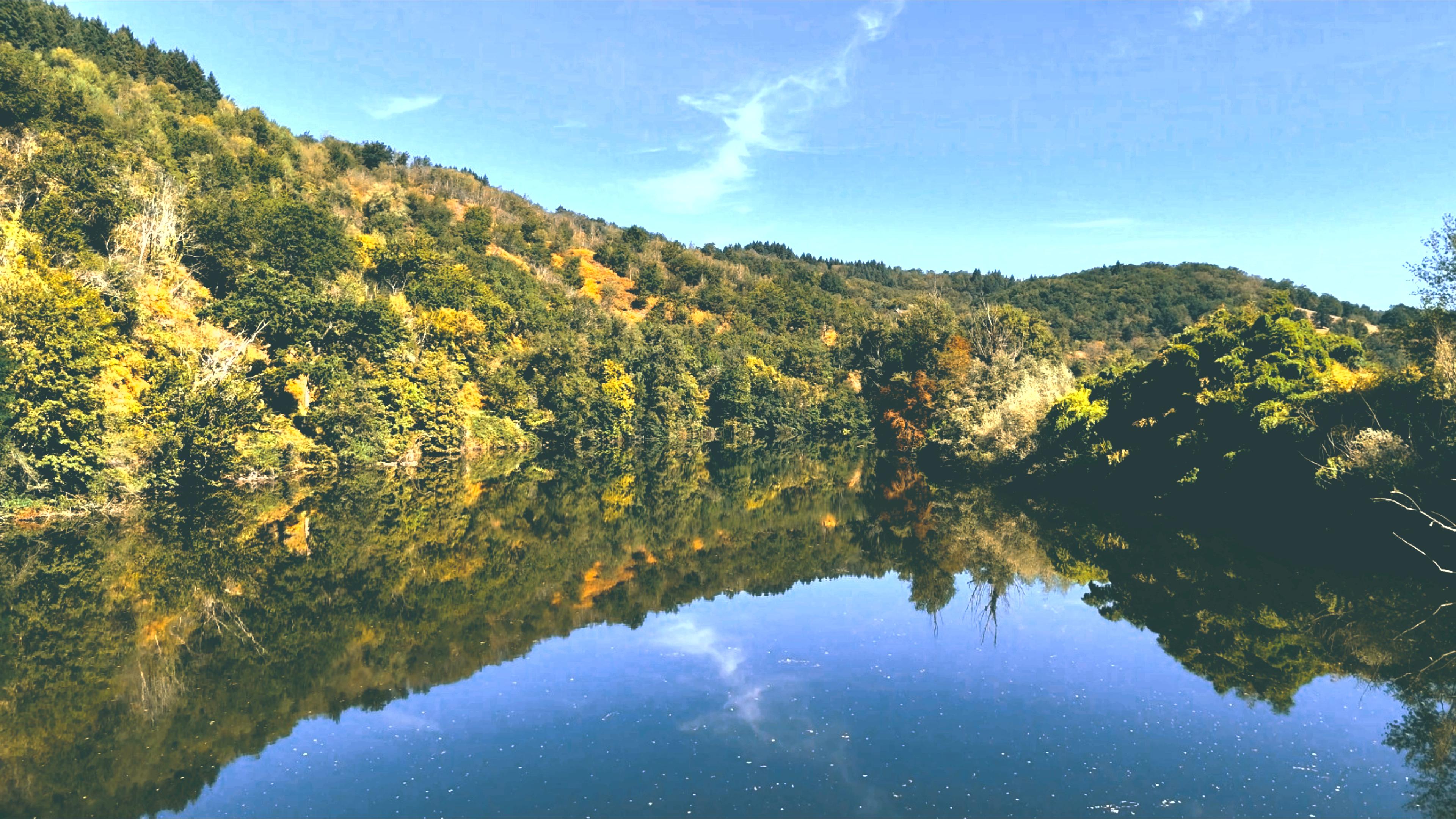 Wooded hillside mirrored in the still water of the Lot
